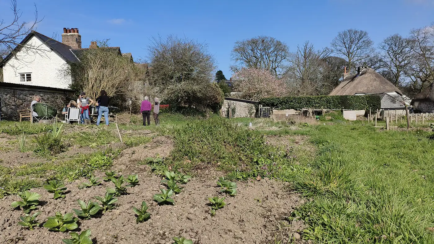 The allotment site in spring, broad beans coming up in the foreground and people gathered by the picnic table under a blue sky.